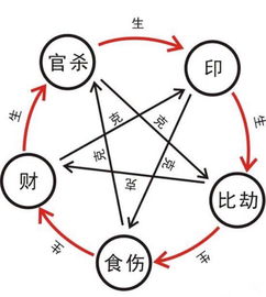 日柱看天干还是地支确定属性