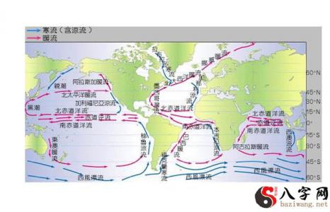 梦见跟随洋流在水上漂