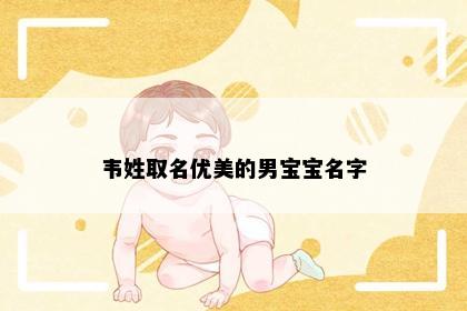 韦姓取名优美的男宝宝名字