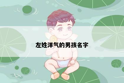 左姓洋气的男孩名字