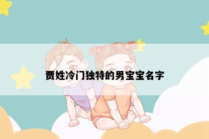 贾姓冷门独特的男宝宝名字