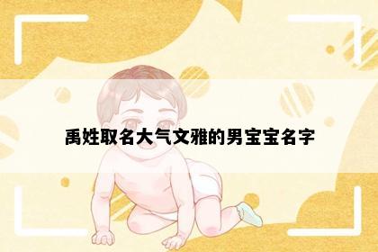 禹姓取名大气文雅的男宝宝名字